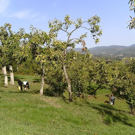 La Casina *